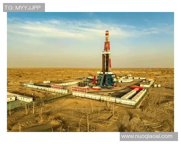 重磅专题：探索液化天然气在能源转型中的创新与应用前景